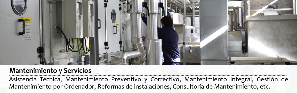 Mantenimiento y Servicios