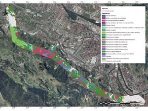 ONDOAN Consultoría Ambiental. Estudio de Impacto Ambiental dentro del Estudio Informativo de la Variante Sur Ferroviaria de Bilbao