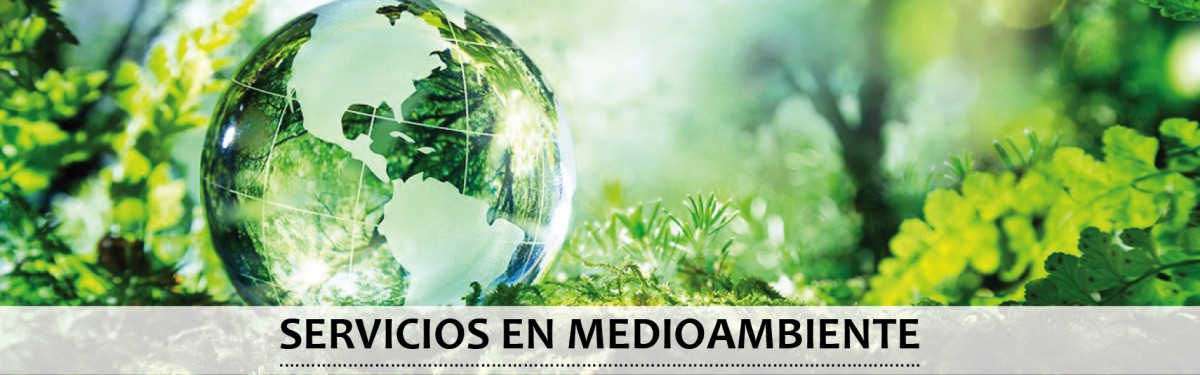 Servicios en Medioambiente