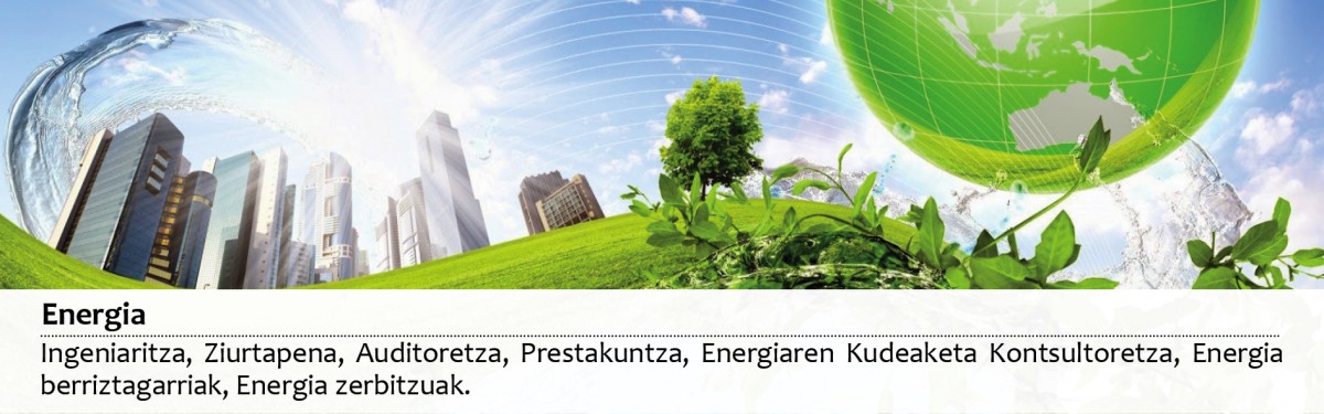 Energia Zerbitzuak