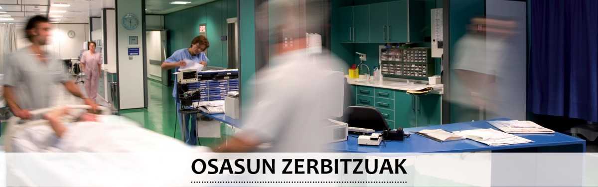 Osasun Zerbitzuak