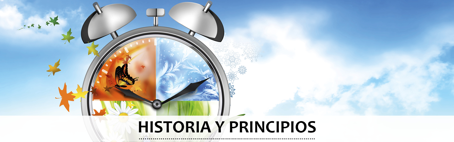 Historia y Principios